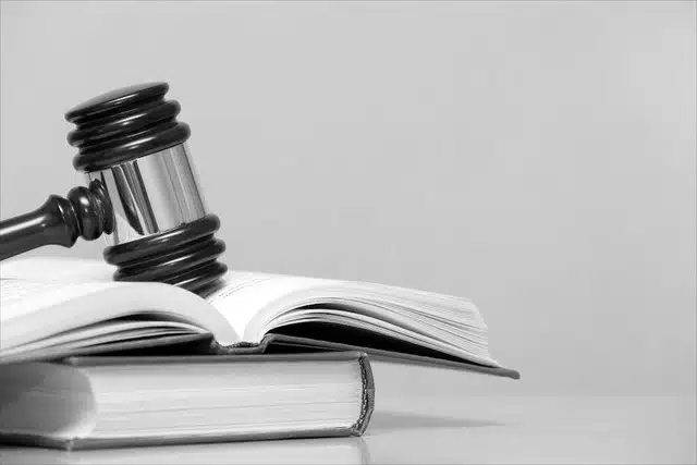 Consultatie opengesteld voor de Wet invoering tweestatusstelsel | Cleerdin & Hamer Advocaten